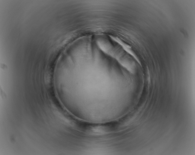 X0000090630268200708071252