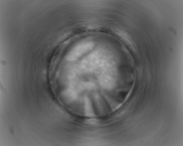 X0000090630269200708071252