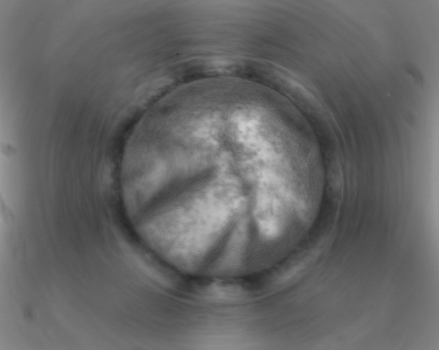 X0000090630270200708071252