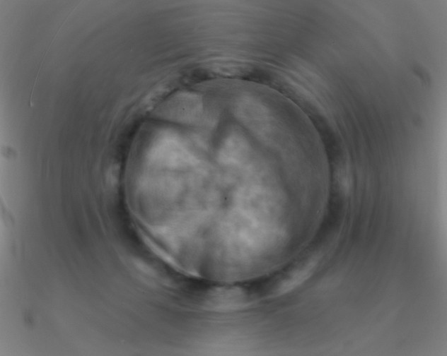 X0000090630271200708071252