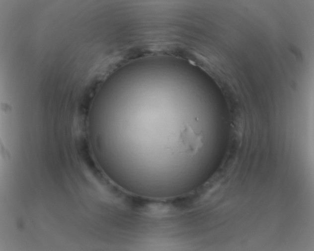 X0000090630272200708071252