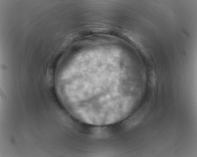 X0000090630273200708071252