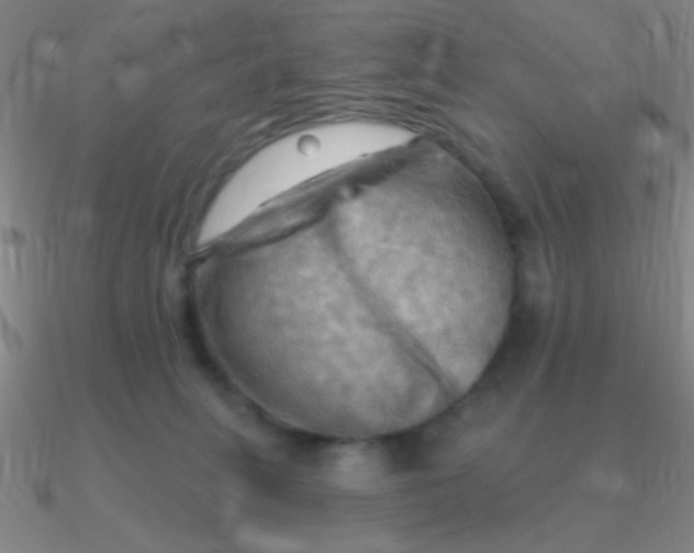 X0000090630275200708071252