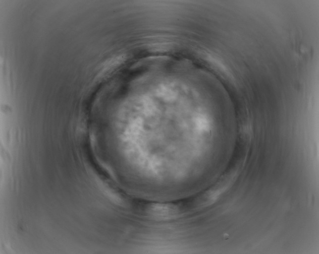 X0000090630277200708071252