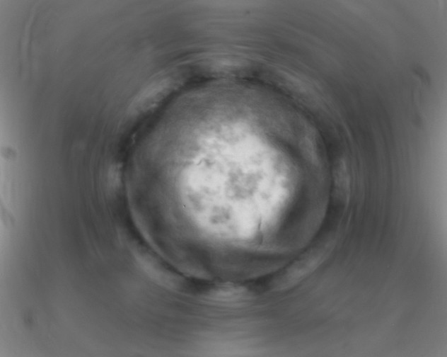 X0000090630278200708071252