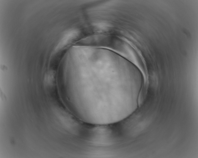 X0000090630280200708071252