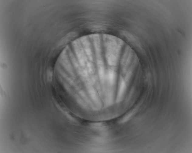 X0000090630281200708071252