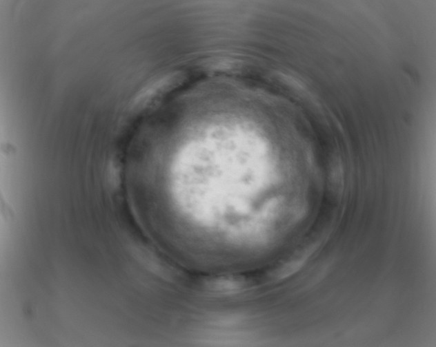 X0000090630282200708071252