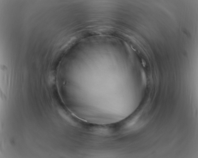 X0000090630284200708071252