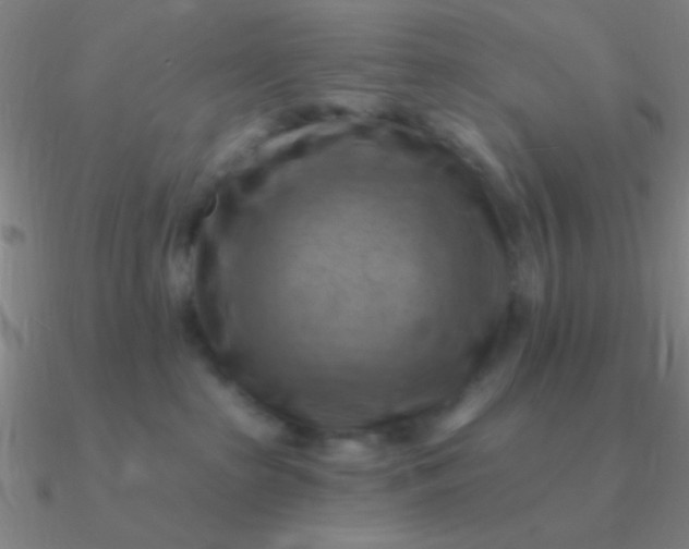 X0000090630285200708071252