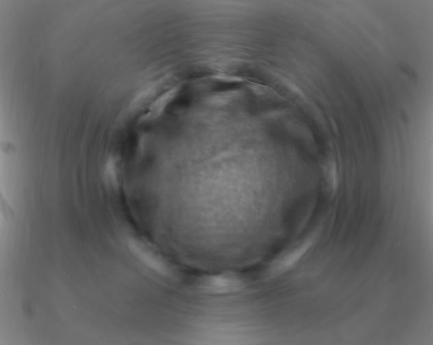 X0000090630286200708071252