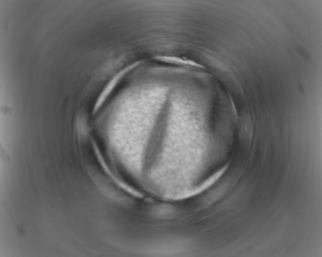 X0000090630287200708071252