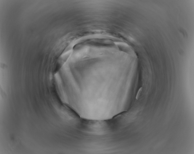 X0000090630288200708071252