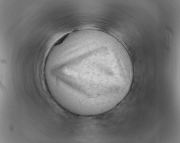 X0000090630289200708071251