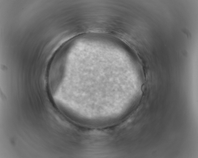 X0000090630290200708071251