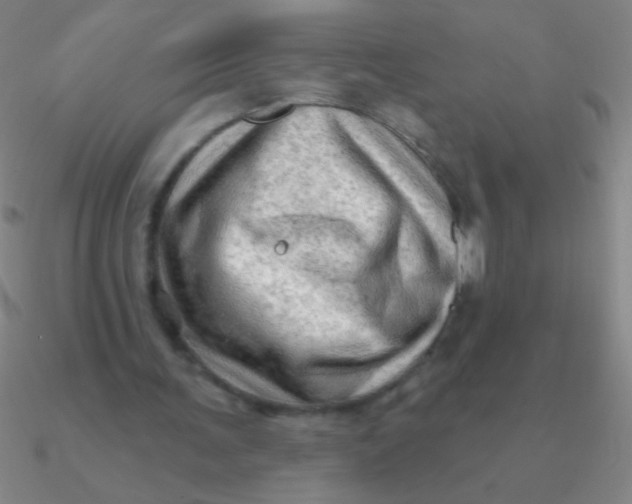 X0000090630291200708071251