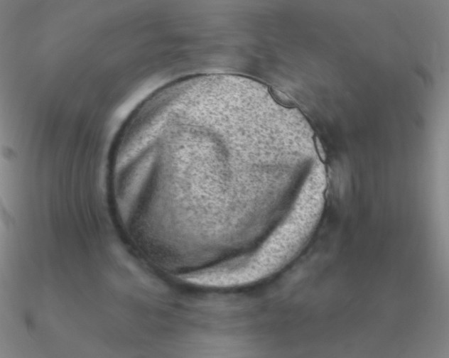 X0000090630292200708071251