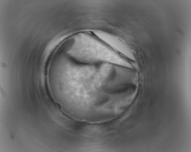 X0000090630294200708071251