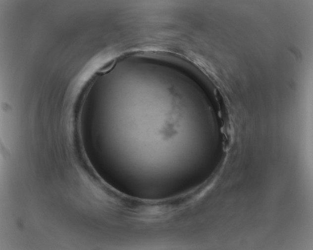 X0000090630295200708071251