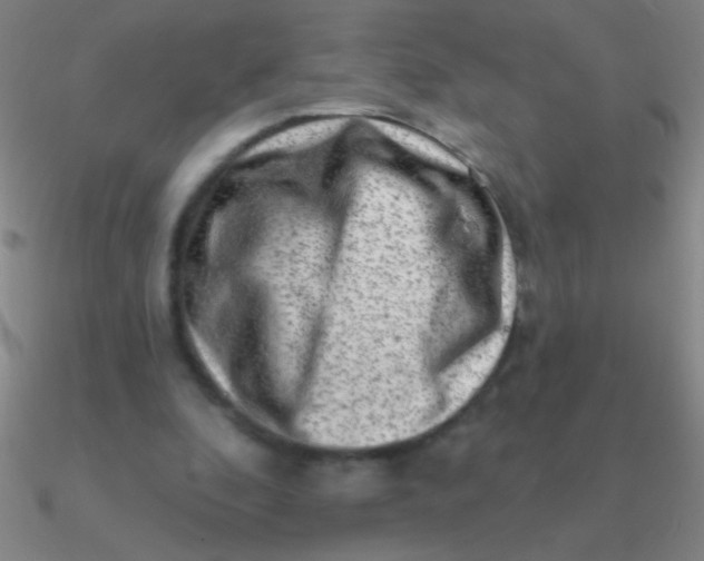 X0000090630296200708071251