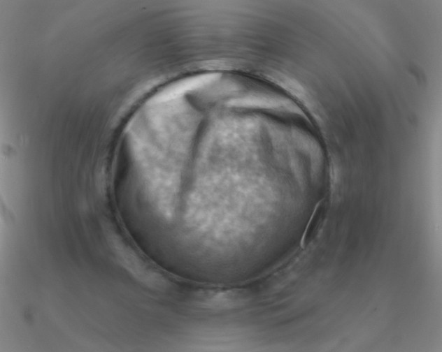 X0000090630297200708071251