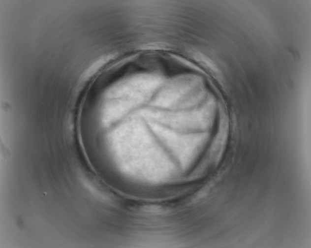 X0000090630298200708071251