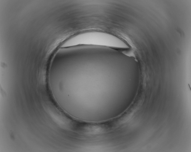 X0000090630299200708071251