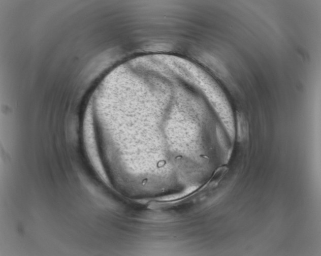 X0000090630300200708071251