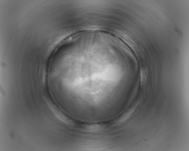 X0000090630301200708071251