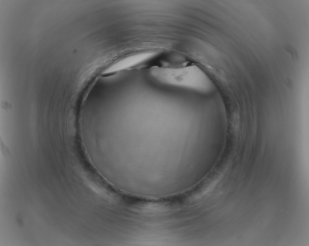 X0000090630303200708071251