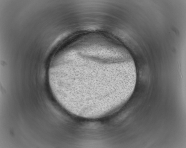 X0000090630304200708071251