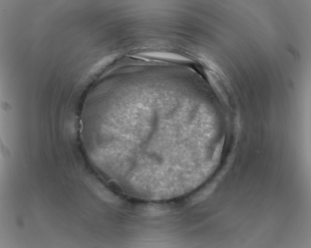 X0000090630305200708071251