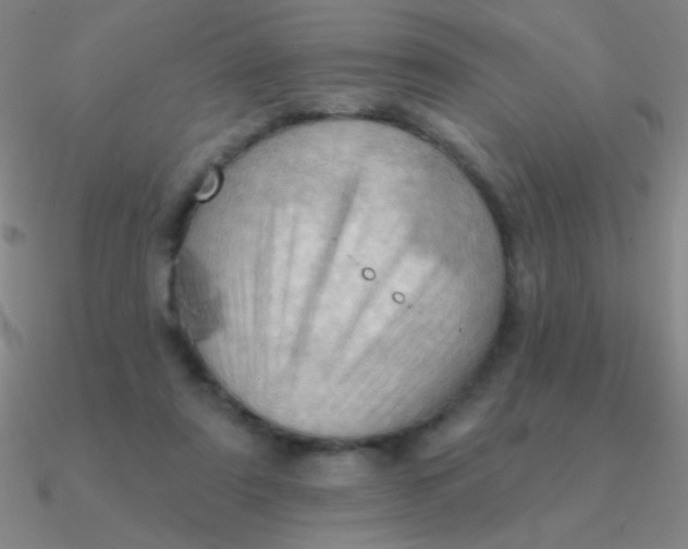 X0000090630307200708071251