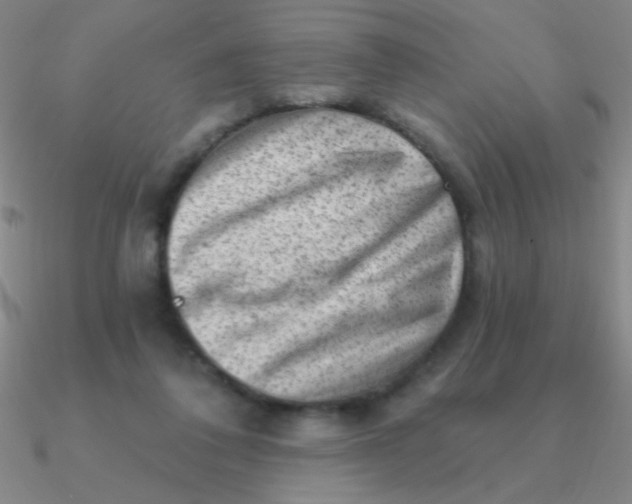 X0000090630308200708071251