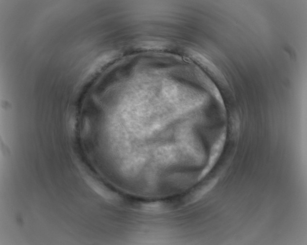 X0000090630309200708071251