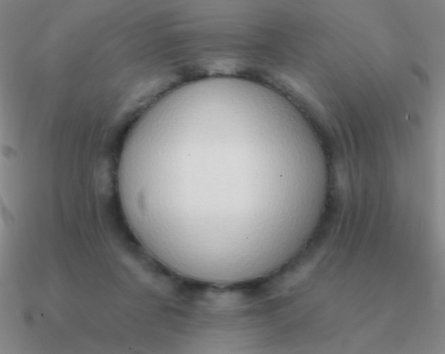 X0000090630311200708071251