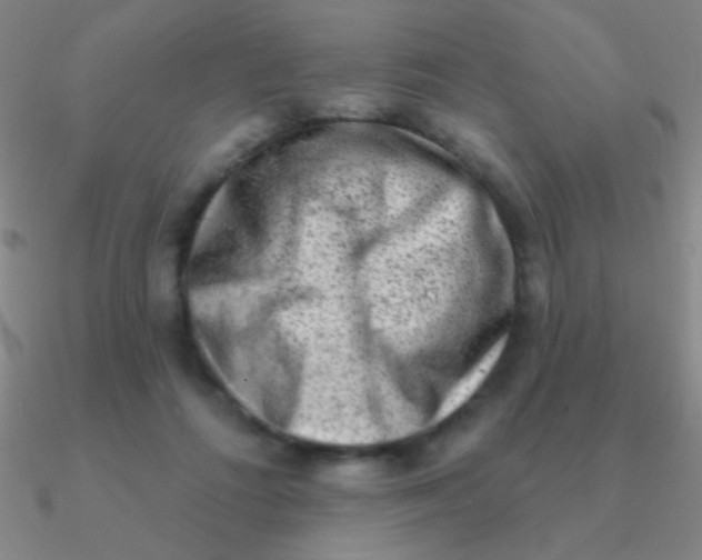 X0000090630312200708071251