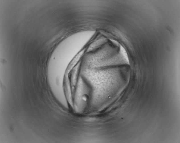 X0000090630313200708071251