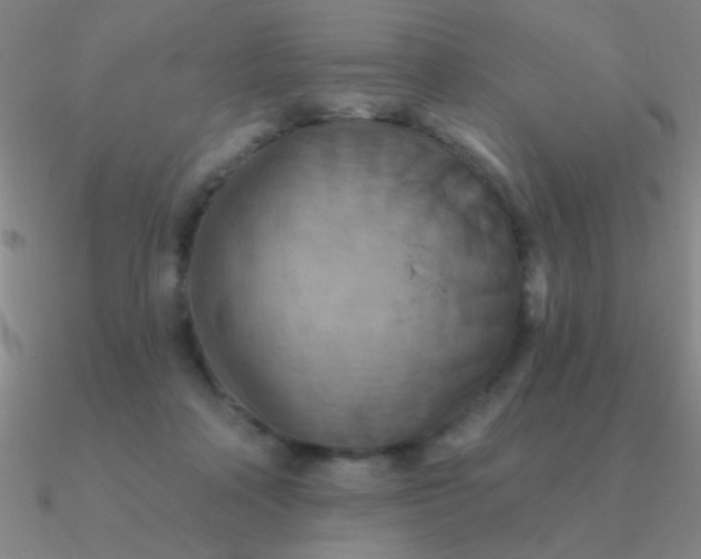 X0000090630314200708071251