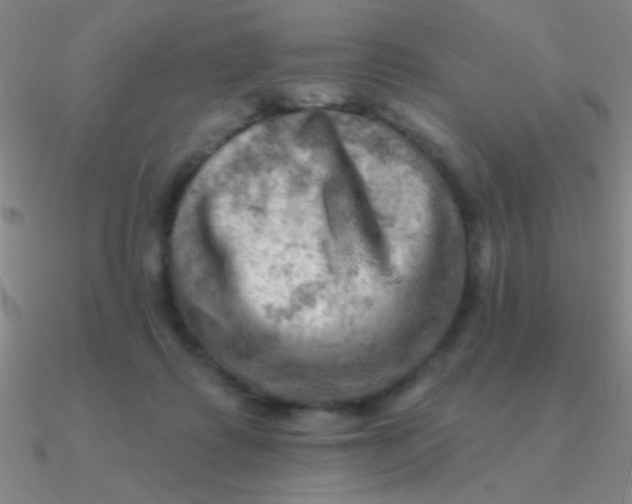 X0000090630315200708071251