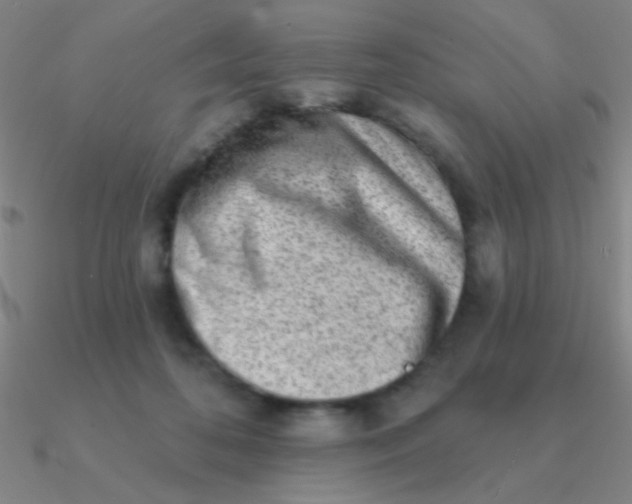 X0000090630316200708071251