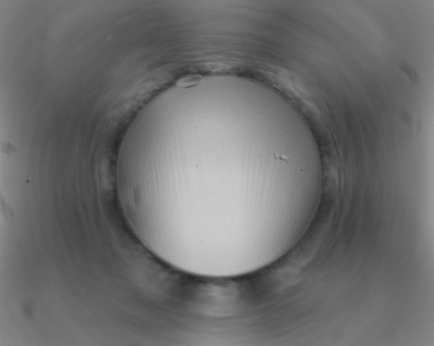 X0000090630317200708071251