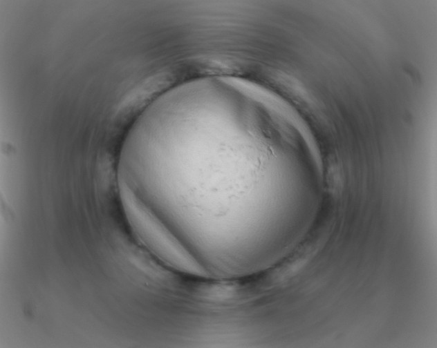 X0000090630318200708071251