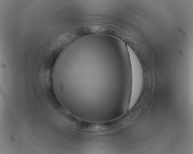 X0000090630319200708071251