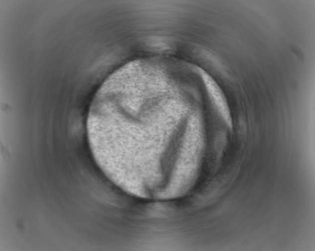 X0000090630320200708071251