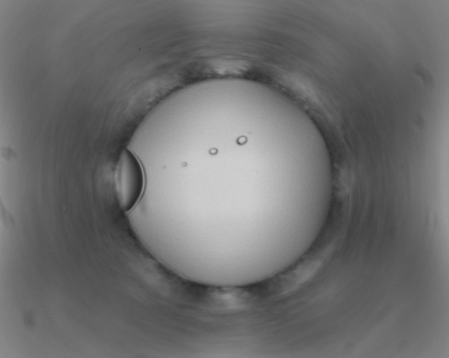 X0000090630321200708071251