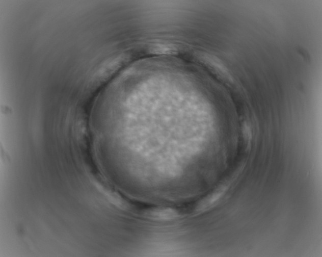 X0000090630322200708071251