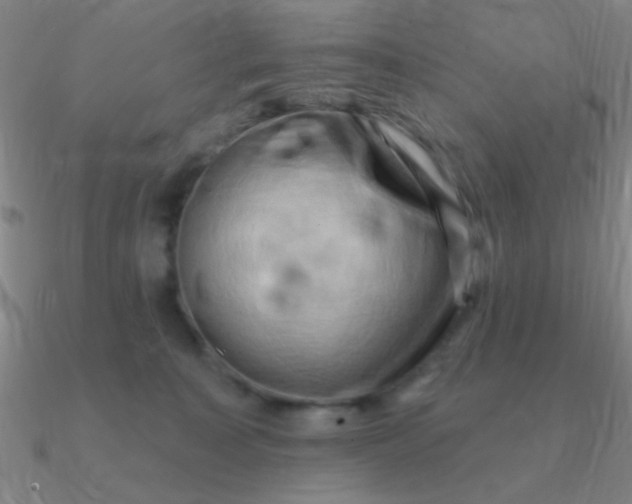 X0000090630323200708071251