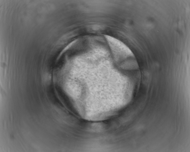 X0000090630324200708071251