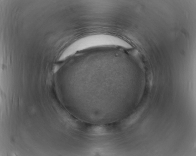 X0000090630325200708071251